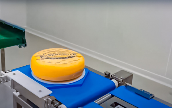 Round Cheese Cutting Machine - Ultrasonic Cutter - Cheersonic